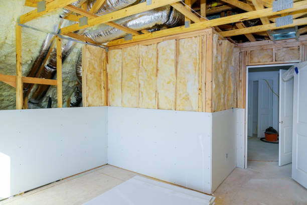 Best Eco-Friendly Insulation in Gridley, IL