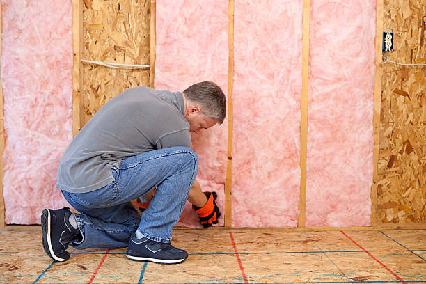 Best Cellulose Insulation in Gridley, IL