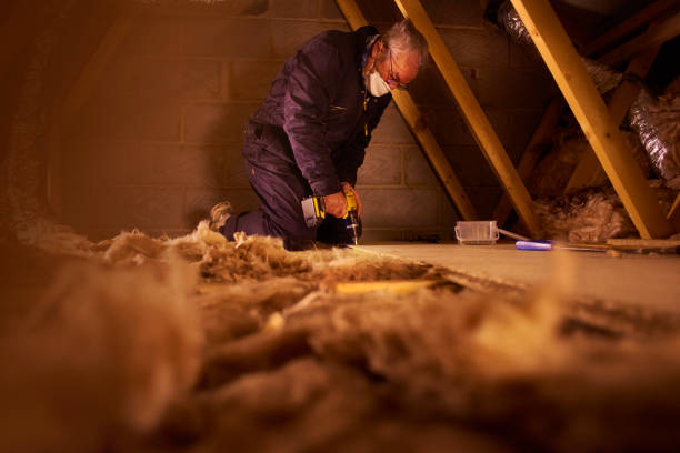 Best DIY Insulation Kits and Guidance in Gridley, IL